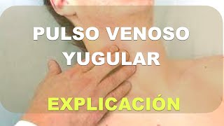 Pulso venoso yugular Explicación [upl. by Maure576]