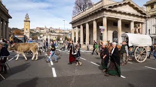 La Transumanza dei Bergamì in centro Bergamo  29102017 Valle Brembana [upl. by Rramo]