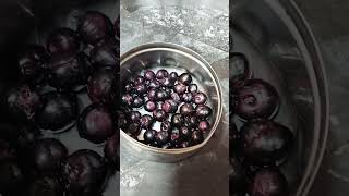 Taste jamun fruit  naval palam benefits in tamilhealthtips ytshorts [upl. by Trefor16]