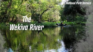 Wekiva River A National Treasure [upl. by Gilbye]