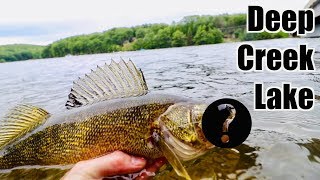 NEVER CAUGHT THIS FISH BEFORE Multi Species Fishing the BIGGEST Lake in Maryland [upl. by Ojeibbob]