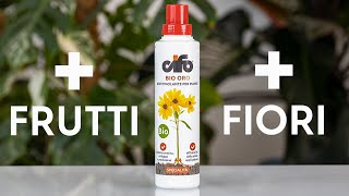 Come ottenere frutti più saporiti con il biostimolante 🍋 [upl. by Eelegna]