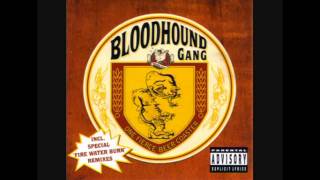 Bloodhound Gang  Fire Water Burn Jim Makin Jamaican Mix [upl. by Rogerio]