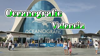 Oceanografic Valencia [upl. by Auhsot556]