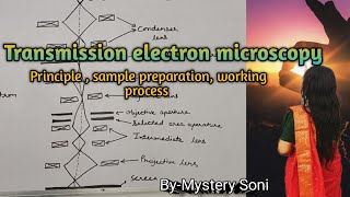 BScMSc Transmission electron microscopy for plant protoplast cells and tissues [upl. by Nussbaum553]