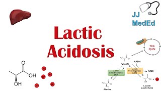 Lactic Acidosis What is it Causes ex metformin and Subtypes A vs B [upl. by Gibb]