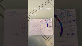 Scapula anastomosis made easy✅ anatomy scapulaanastomosis [upl. by Cedell]