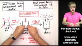 Phase Changes Exothermic or Endothermic [upl. by Yramliw]