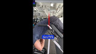 PICK A SIDE HYPEREXTENSION shorts hyperextension glutes lowerback hamstrings exercise workout [upl. by Whyte]