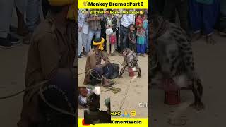 Monkey 🙈 drama comedy monkeycomedy funny monkey prank fun trendingshorts viralvideo [upl. by Berard389]