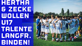 HERTHA will u17 Talente langfristig binden Lum  Ndi amp Co [upl. by Ainevul73]