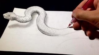 Drawing Anamorphic Snake  Optical Illusion [upl. by Tarkany476]