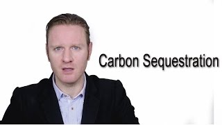 Carbon Sequestration  Meaning  Pronunciation  Word World  Audio Video Dictionary [upl. by Francine]