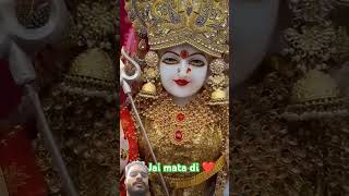 Maa bhakti div Vaishno Devi New viralvideo love maavaishnodevibhawan [upl. by Maggee]