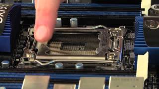 How to Install a Desktop Processor [upl. by Eerdna]