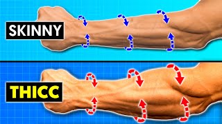 Skinny Guys MUST Do This For Bigger Forearms amp Wrists [upl. by Hans]