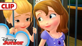 Mermaid Rescue  Sofia The First  disneyjr [upl. by Lednar175]