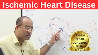 Ischemic Heart Disease  Myocardial Infarction  Cardiology🫀 [upl. by Nauquf49]