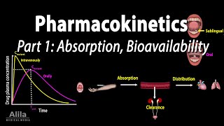 Pharmacokinetics part 1 Overview Absorption and Bioavailability Animation [upl. by Adnovaj891]