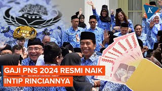 Gaji PNS 2024 Resmi Naik Ini Daftar Lengkapnya [upl. by Otte]