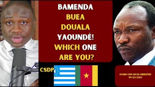 The 3 Types of People from Bamenda Buea Douala and Yaoundé Which One Are You [upl. by Phyllys]