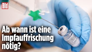 CoronaAntikörpertest Das sagen die Werte über deinen ImmunSchutz aus [upl. by Ailehpo]