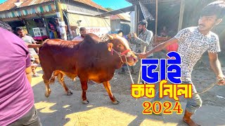 Bhai Koto Nilo Paragram Hozrotpur Gorur Haat 2024  Part 5  Cow Price in Bangladesh [upl. by Ladonna538]