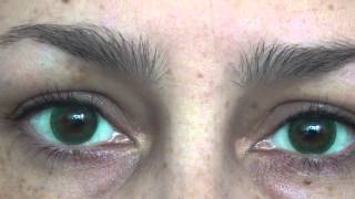 freshlook dimensions sea green JoLens Review Very High Definition sunlight [upl. by Nilsoj957]