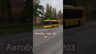 Автобус маз 203 был с Matveykicik metro [upl. by Nodgnal]