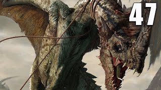 Witcher 3 Wild Hunt  Part 47  Dummies and Dragons  No Commentary [upl. by Apgar]