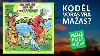 Pasaka  Kodėl Voras Yra Mažas Audiopasakos lietuviškai [upl. by Raye]