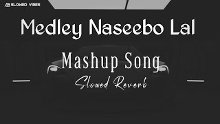 Medley Mashup slowed Reverb with Naseebo Lal most trending song Mashup [upl. by Annoet]