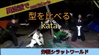 【3分で分かる】シラットの多様性「同じ型を流派で比べる」空手みたいでしょ❢ [upl. by Annairdua311]