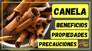 CANELA BENEFICIOS PROPIEDADES Y PRECAUCIONES 🟤 [upl. by Haeli376]