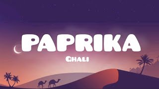 Ghali  PAPRIKA  TestoLyrics [upl. by Hedva184]