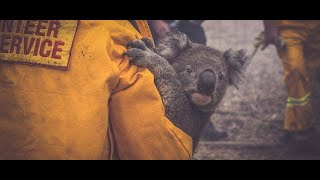 I See Fire  Australian Bushfires video [upl. by Nnylamme226]