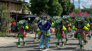 Sadsad Festival 2024  2nd Placer Purok Gemelina [upl. by Llerrem]