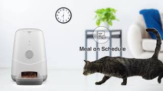 Feed your pets with Petoneer [upl. by Pugh]