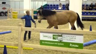 Equitana 2015  Equikinetik mit Pferdefluesterer Michael Geitner [upl. by Steinberg]