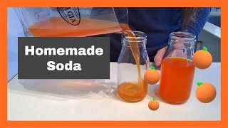 How to make a Homemade Orange Soda  Recreating Soda Flavours  Citrus Sugar [upl. by Thorlay566]