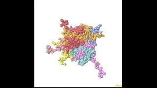 Estructura del nucleosoma [upl. by Narcissus762]