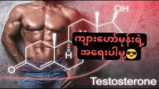 Importance of Testosteroneကျားဟော်မုန်းရဲ့အရေးပါမှု့ [upl. by Dauf]