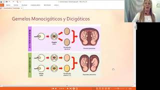 7 Gemelaridad Teratogénesis [upl. by Iinden]