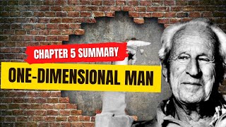 OneDimensional Man  Chapter 5 Summary Commentary and QnA [upl. by Cyrillus]