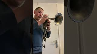 SOLD W Ruyssinck Erembodegem Bb Cavalry Trombone [upl. by Skilken53]