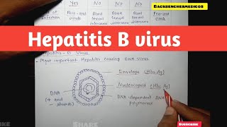 Hepatitis Virus B l classify discuss pathogenesis and laboratory diagnosis of hepatitis b virus [upl. by Wiburg]