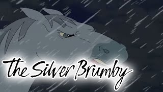 The Silver Brumby 119  Charlie Helps a Friend HD  Full Episode [upl. by Nonnah]