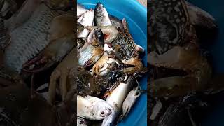 Pang Rellenong Bangus milkfish catch mix seafood shrimp and crab [upl. by Yeldarb]