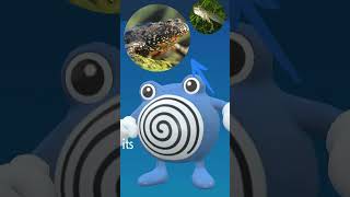 Poliwhirl  Inspiração  pokemon poliwag poliwhirl poliwrath [upl. by Natalina]