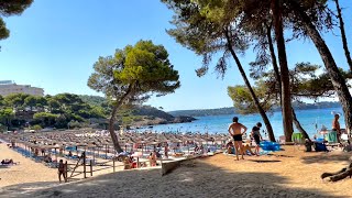 Paguera 💜 Mallorca 🇪🇸 Rundgang Vormittag 💜 Boulevard ☀️ Palmira 🌴 Tora und Seitenstraßen 🏖😎 [upl. by Pinzler187]